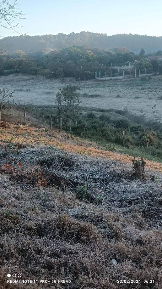 La Esperanza, Intibucá, amanece cubierta de hielo: Fotos