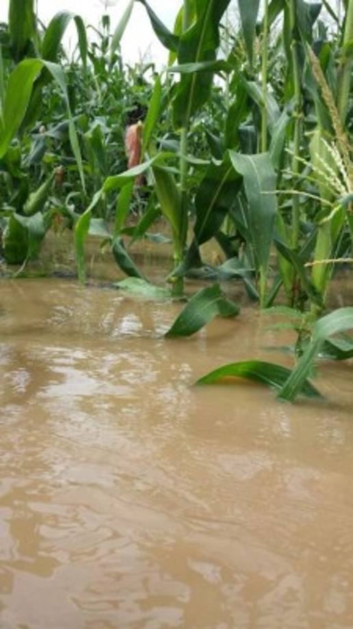 Copeco mantiene alerta amarilla en Francisco Morazán y El Paraíso y alerta verde en Atlántida, Cortés, Santa Bárbara, Valle y Olancho. <br/>