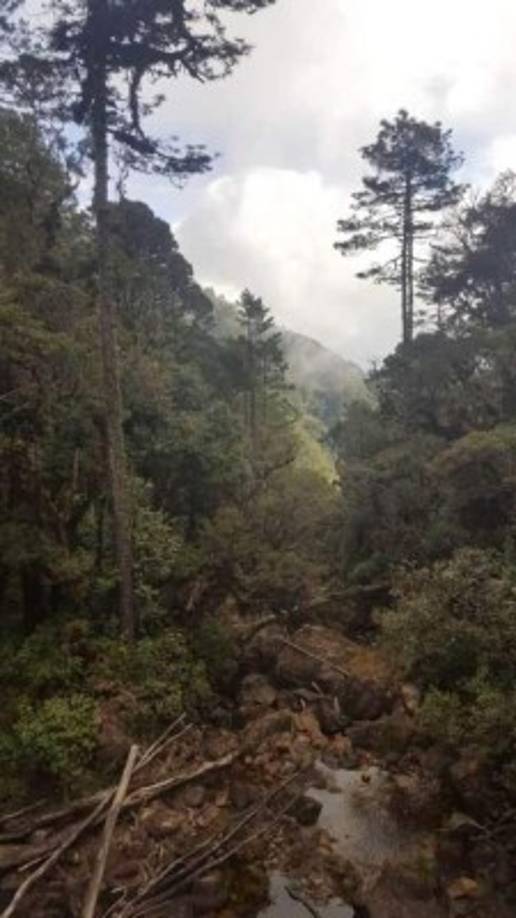 Este es el lugar preciso donde el guía y el turista permanecieron durante una noche, mientras esperaban su rescate.