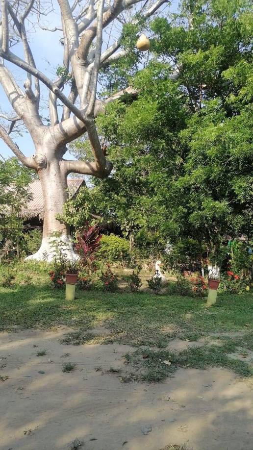 Puede solicitar más información al teléfono: 9592-7371 