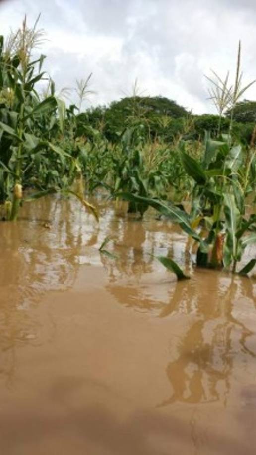 Las lluvias que desde ayer se registran en el territorio nacional ya afectan a centenares de familias de Tegucigalpa y de Choluteca. <br/>