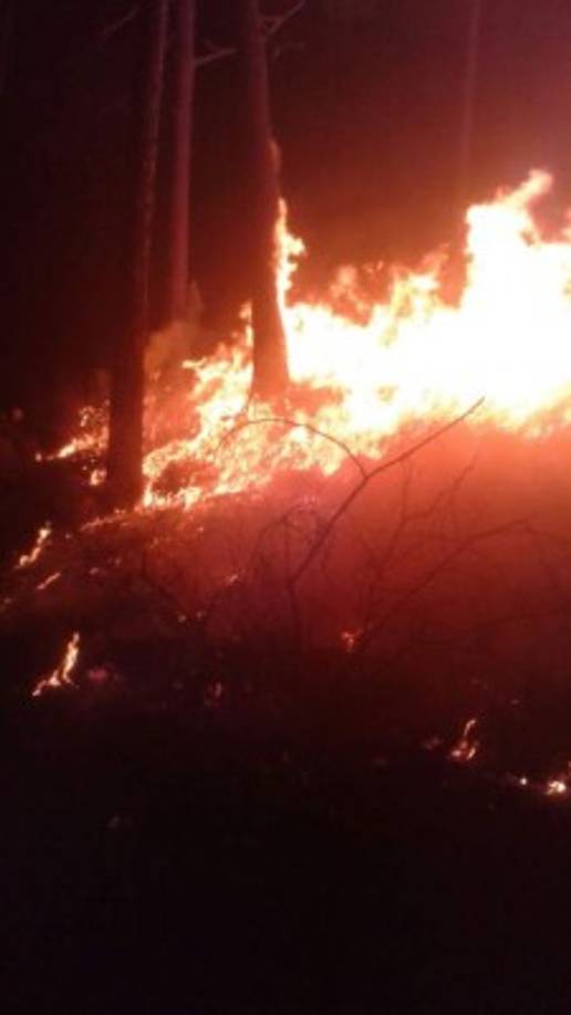 El siniestro se extendió hasta la mañana del jueves.