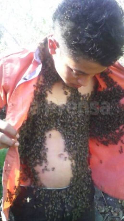 Emerson es originario de Gracias, Lempira y en su casa tiene alrededor de 20 enjambres.