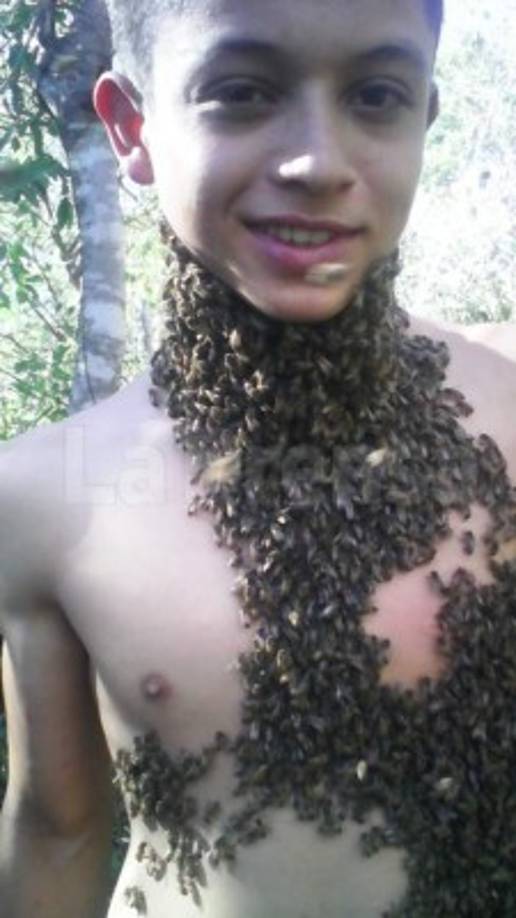 Es un agricultor y ganadero de profesión, pero apicultor por pasión.