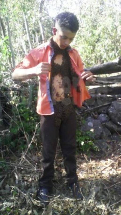 Llena su cuerpo de abejas sin ningún tipo de protección y afirma que estos insectos no lo atacan.