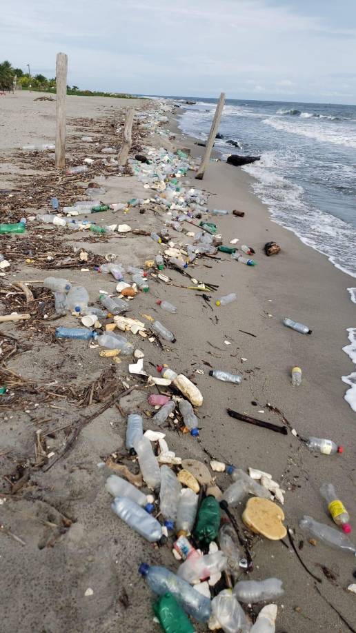 La municipalidad de Omoa emitió su preocupación por la crisis en las costas y, aunque precisaron que trabajarán en remover toneladas de desechos, que incluyen especialmente plásticos, no cuentan con los fondos suficientes para montar una logística acorde a la gravedad del problema. 