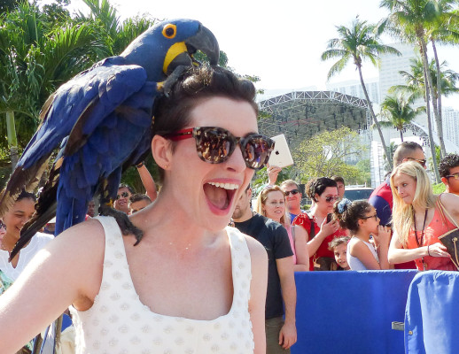 Miami tiene su paseo de la fama