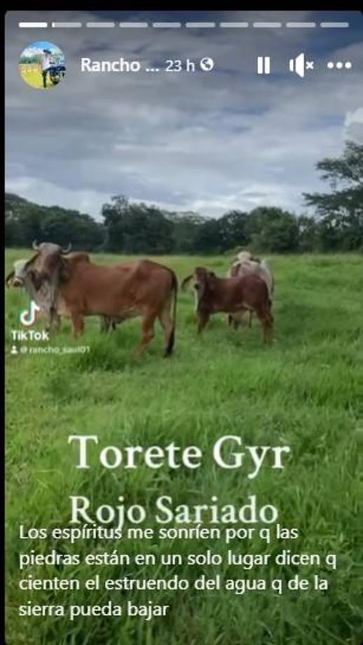 Este es el penúltimo estado que compartió el domingo.