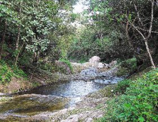 Armenta: una historia de amor