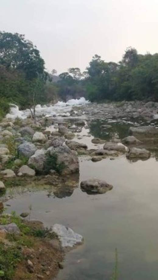 El último caso de daño ambiental ocurrió este día en el municipio de Florida, Copán. Un camión cisterna se accidentó y derramó sobre el río Chamelecón un químico especial para la elaboración artículos para limpieza como detergentes y jabones.