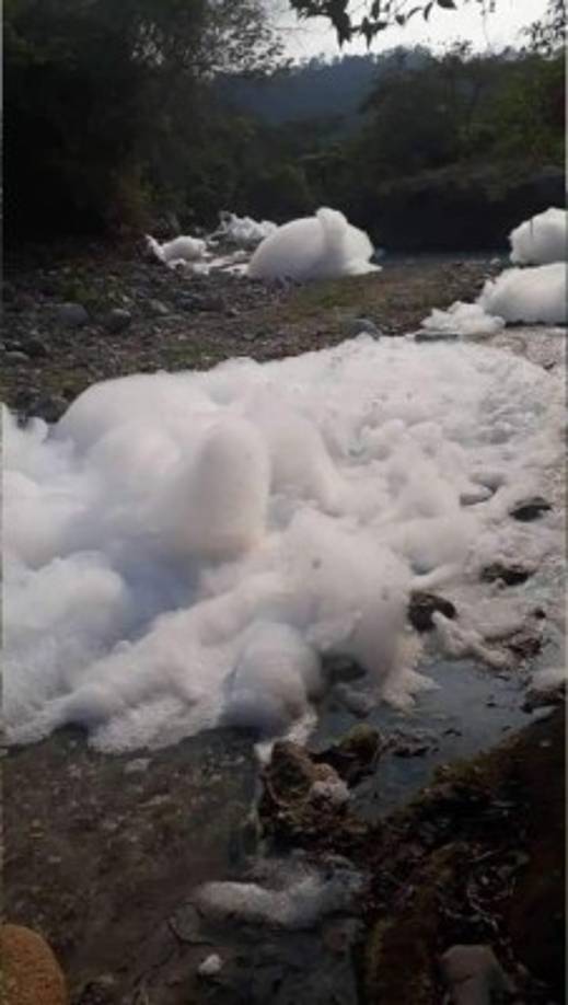 El químico derramado es ácido sulfónico. Rápidamente se formó espuma en grandes cantidades. El agua del río se contaminó.