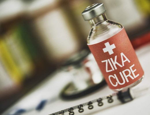 Unas vacunas experimentales podrían proteger al feto del Zika