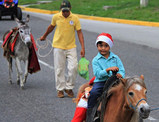 70 caballos purasangre engalanan desfile hípico en San Pedro Sula