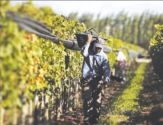 OIT: los países más pobres trabajan más