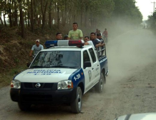 Exhuman cuerpo de labrador