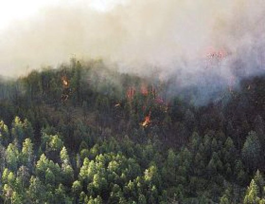 Incontrolables se encuentran los incendios forestales