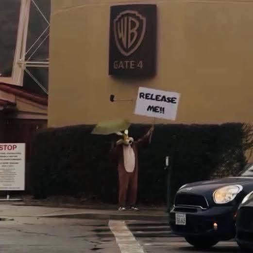 Coyote vs. Acme: la película que los fans se negaron a perder