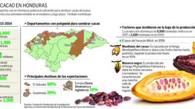 En el gráfico se incluye el panorama general para la cosecha 2013-2014 y algunos factores que han dificultado la producción.