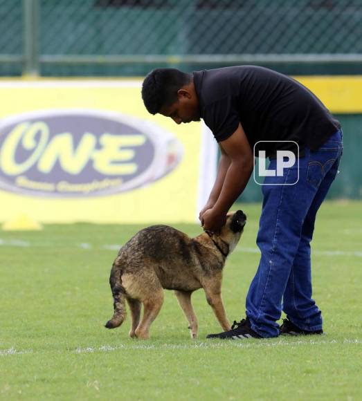 ‘Firulais’ no se quiso perder el estreno del estadio Luis Girón.