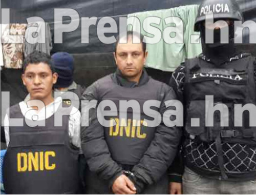 Detienen a hondureño y colombiano en plantación de amapola en Lempira