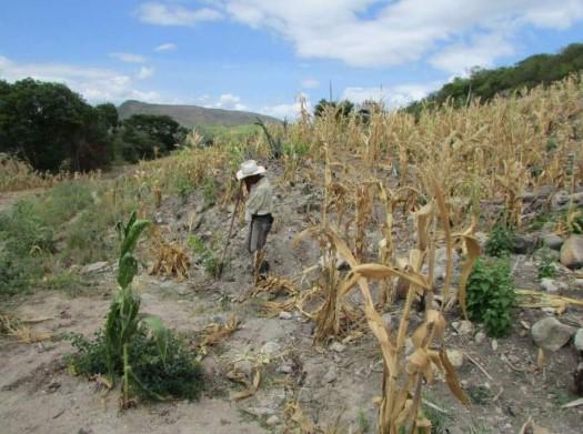 Advierten de crítica sequía y aumento de temperaturas