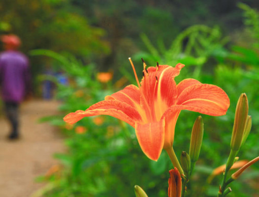 Turismo rural en el occidente de Honduras