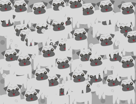 Encuentra al oso panda que se esconde entre los perros