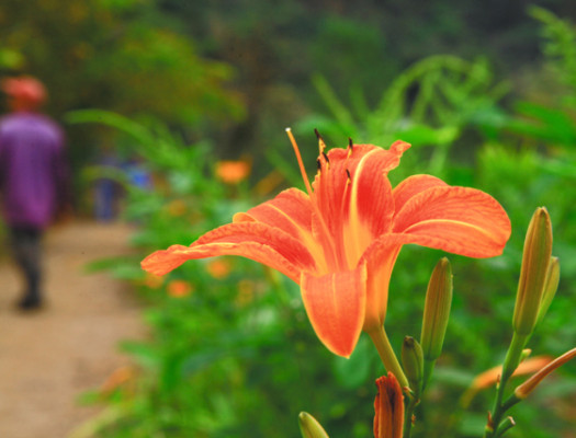 Turismo rural en el occidente de Honduras