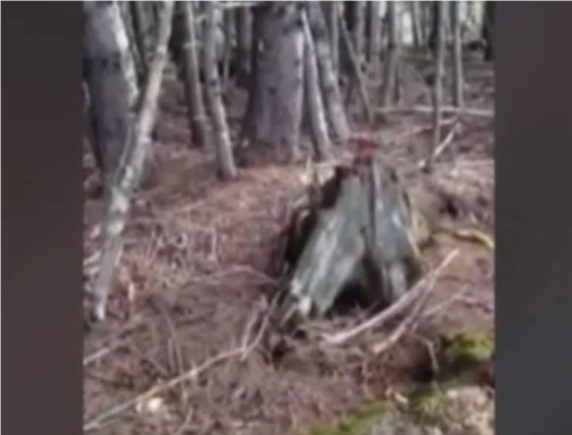 El video que provoca miedo al mostrar a la tierra 'respirar'