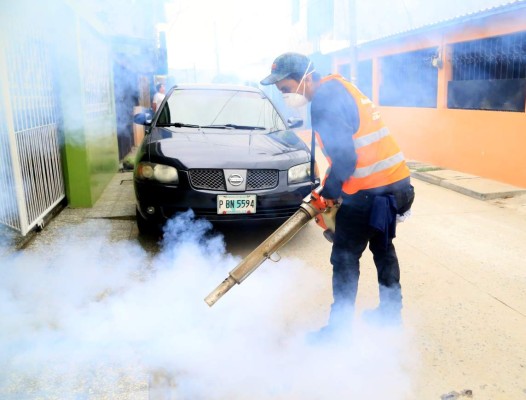 Salud registra ya 16,000 casos del virus del zika