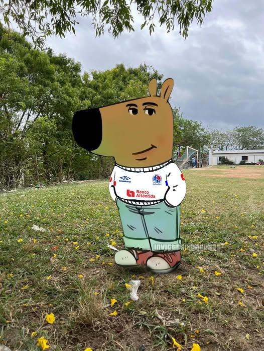 Memes se burlan de Real España tras goleada del Olimpia en la final