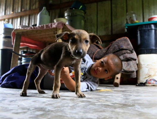Tragedia persigue al 'hijo de la montaña”