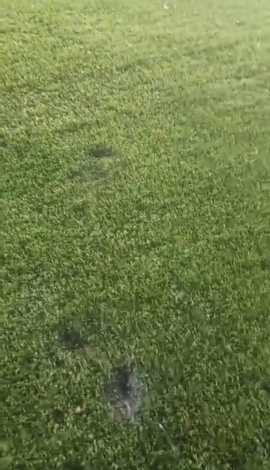 El presidente del Motagua, Eduardo Atala, se encargó de compartir las fotografías tras el clásico y dejó un mensaje en sus redes sociales.