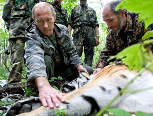Los tigres de Putin siembran el pánico en China