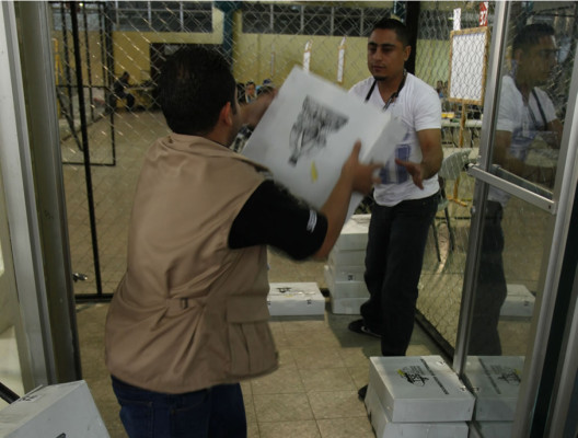 TSE contará voto por voto para definir al alcalde de San Pedro Sula