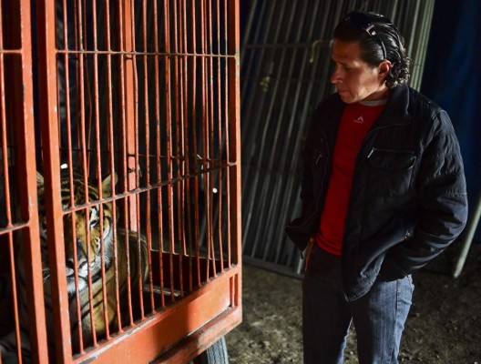 US First Lady Melania Trump receives the White House Christmas tree at the White House in Washington, DC, on November 25, 2019. (Photo by NICHOLAS KAMM / AFP)