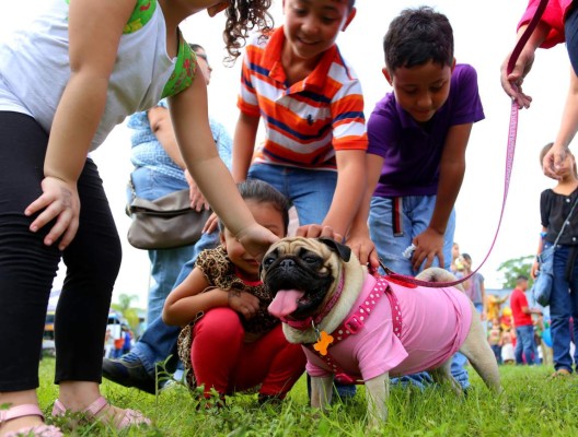 Fundación Ruth Paz celebra con éxito el Festival del Niño 2014