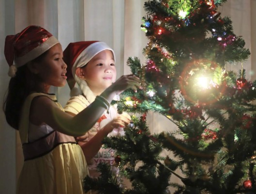 Conoce el significado del árbol