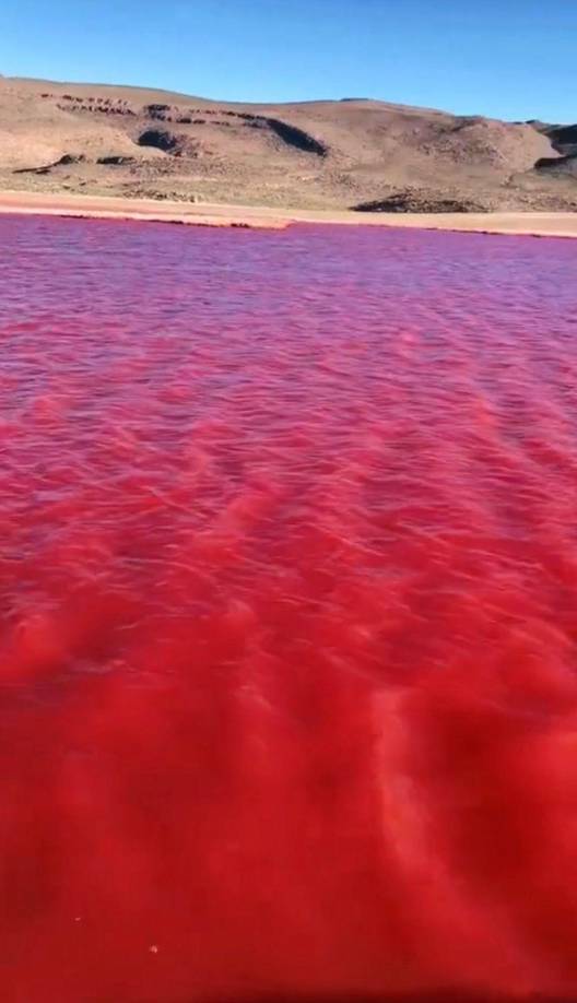 Cabe mencionar que, el río Nilo es el de mayor longitud del continente africano, que abarca y conecta con diez países como Burundi, Ruanda, Tanzania, Uganda, Kenia, República Democrática del Congo, Sudán del Sur, Sudán, Egipto y Etiopía.