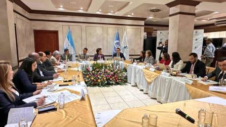 Reunión con el subcomité de Naciones Unidas para la Prevención de la Tortura y otros Tratos o Penas Crueles, Inhumanos o Degradantes en el país.