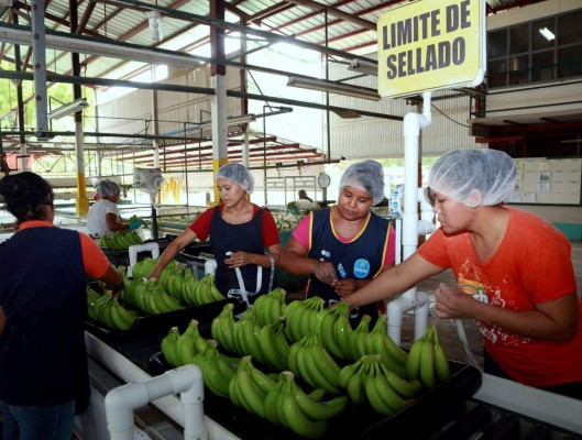 Honduras entre los 30 países que más crecerán para 2024