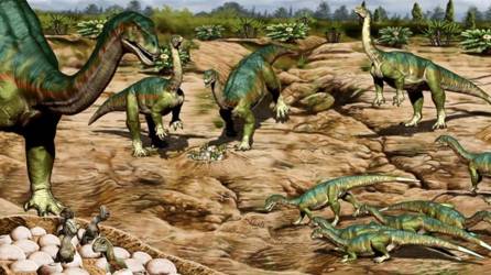 Uno de los elementos que podía arrojar luz sobre cómo vivían los primeros dinosaurios eran los huevos encontrados, dijeron los encargados del estudio.