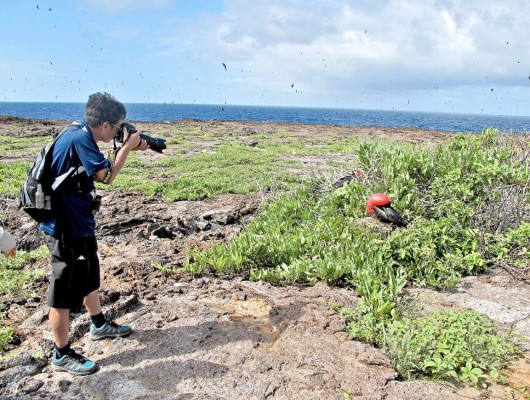 Safari de fotos por las Islas Galápagos