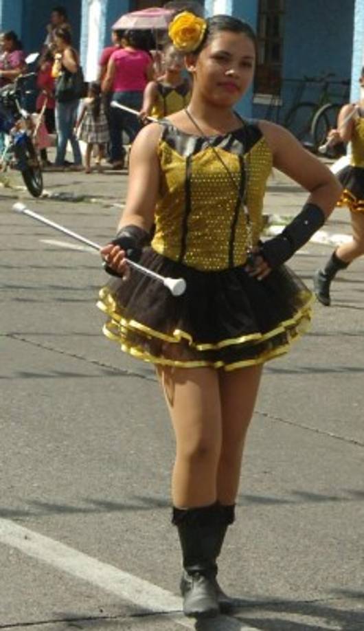 Una palillona de La Ceiba.