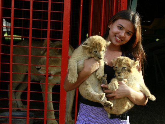 Una sala de maternidad para fieras
