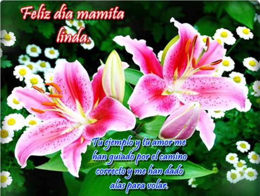 Bellas frases y poemas para Mamá