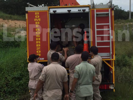 Atropellan a enorme cocodrilo en Santa Bárbara