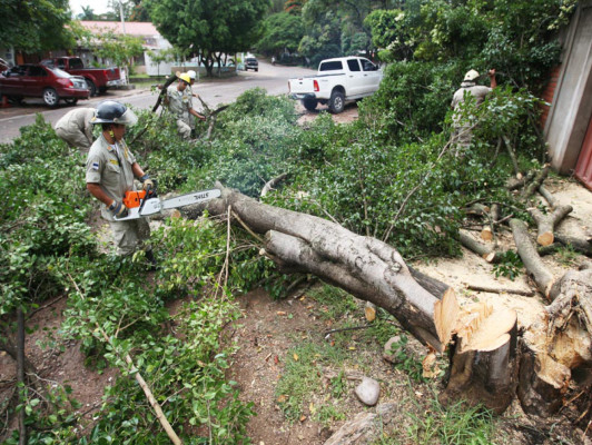 Tormenta deja inundaciones en varios sectores de Tegucigalpa
