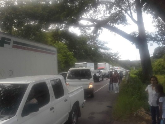 Seis muertos deja accidente vehicular en Honduras