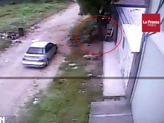 Video muestra crimen de tres jóvenes en cuartería en San Pedro Sula